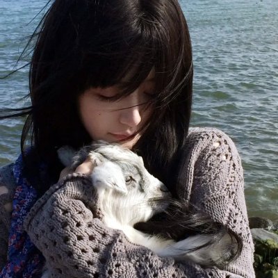 好莱坞芭比电影版